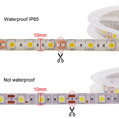 12V LED Strip 5050 RGB Warm White Light 5m Waterproof 60LED/m Flexible LED Tape Lights Decor Lighting
